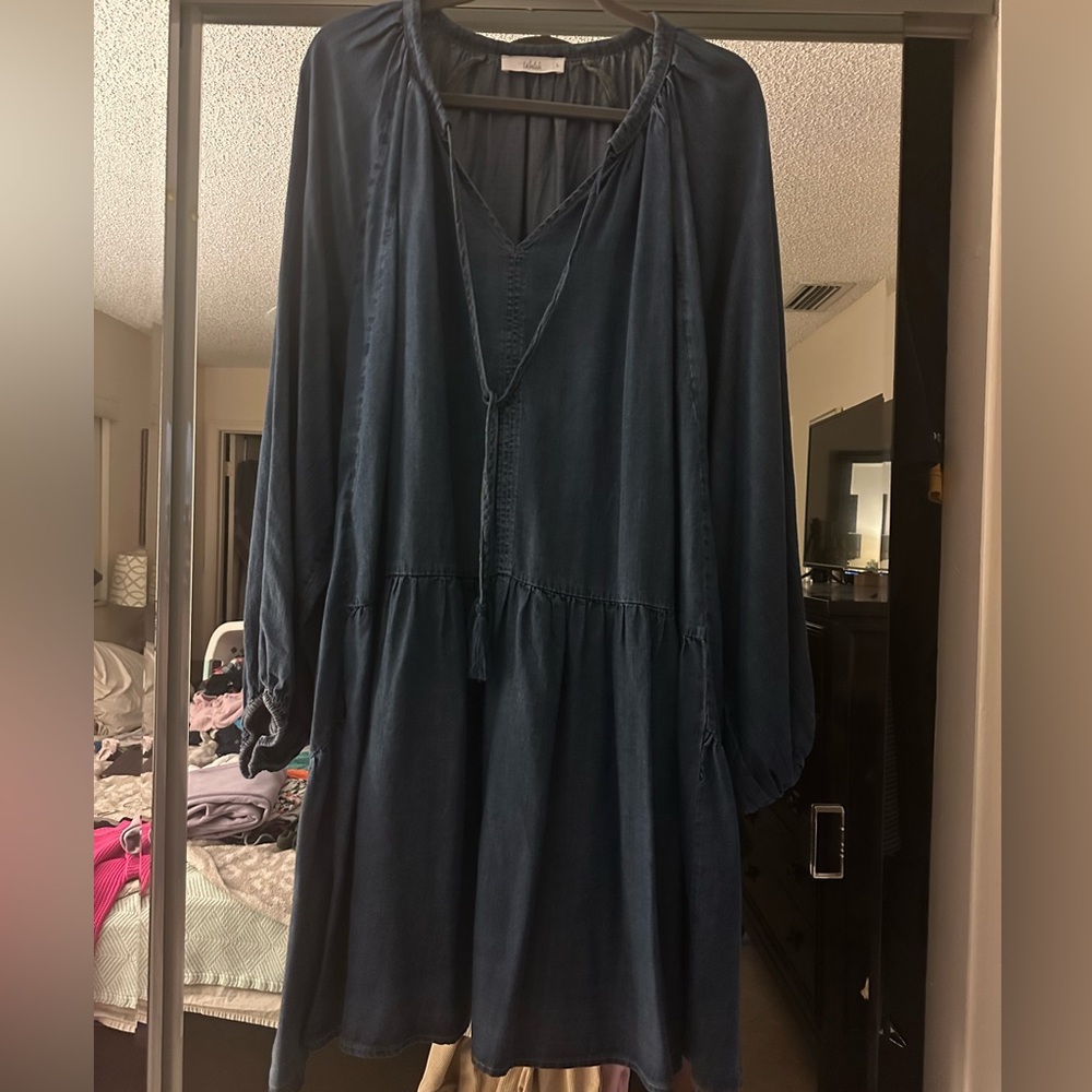 CUTE Long Sleeve Denim Dress Large But Fits Oversized. More Like Xl